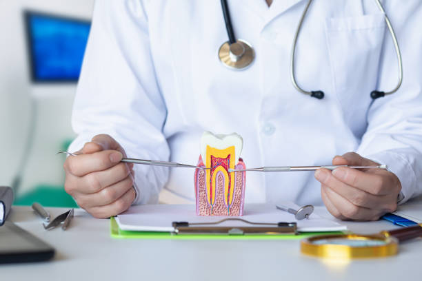 Best Root Canal Emergency Dentist  in Cooper, TX